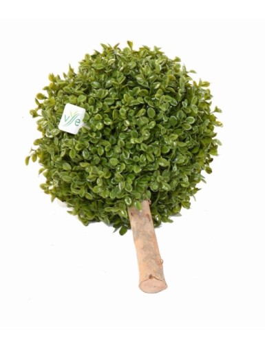 BUCHSBAUM KUGEL STK (Sonderpreis)