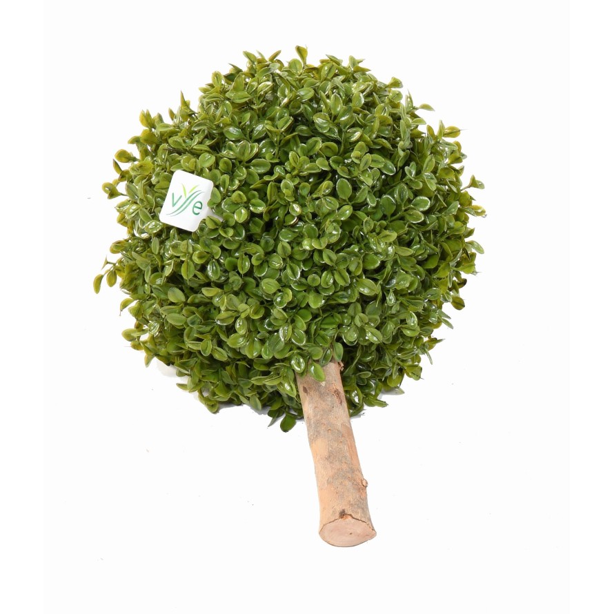 BOXWOOD BALL STK (Net promotional price)