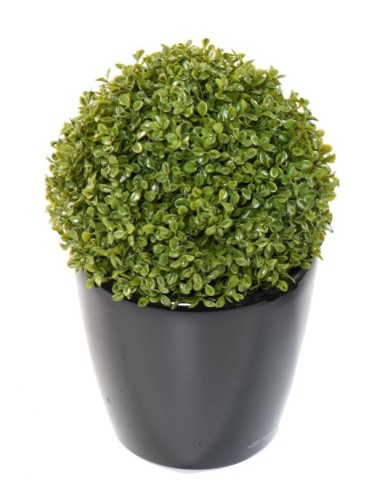 BOJ ESFERA STK (Precio neto promocional)