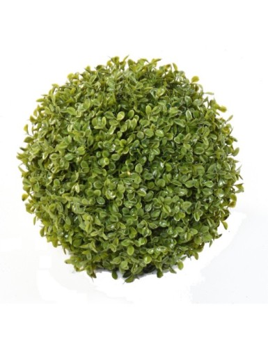 BUIS BOULE STK (promo net)