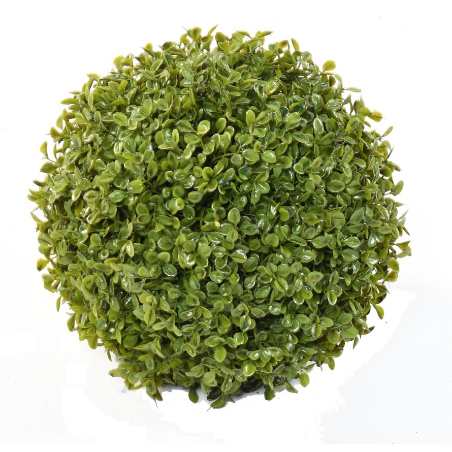 BOXWOOD BALL STK (Net promotional price)