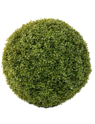 BOXWOOD BALL STK (Net...