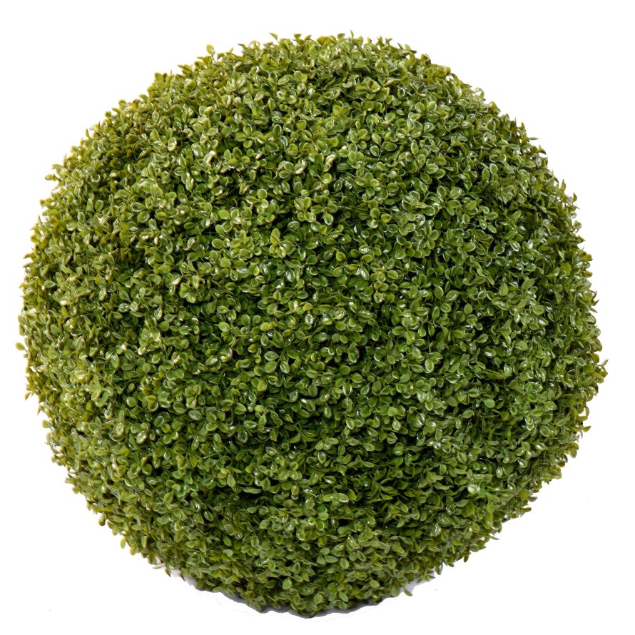 BUIS BOULE STK (promo net)