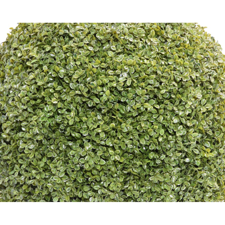 BOXWOOD BALL STK (Net promotional price)