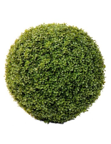 BUCHSBAUM KUGEL STK...