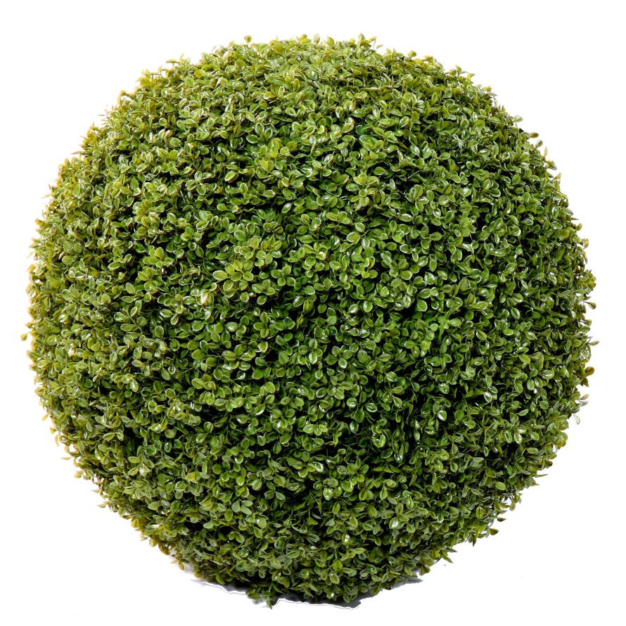 BUIS BOULE STK (promo net)