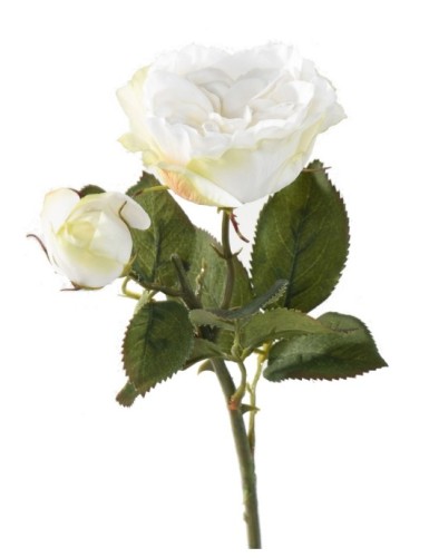 ROSA 1 1 (Precio neto promocional)