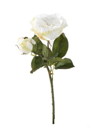 ROSA 1 1 (Precio neto promocional)