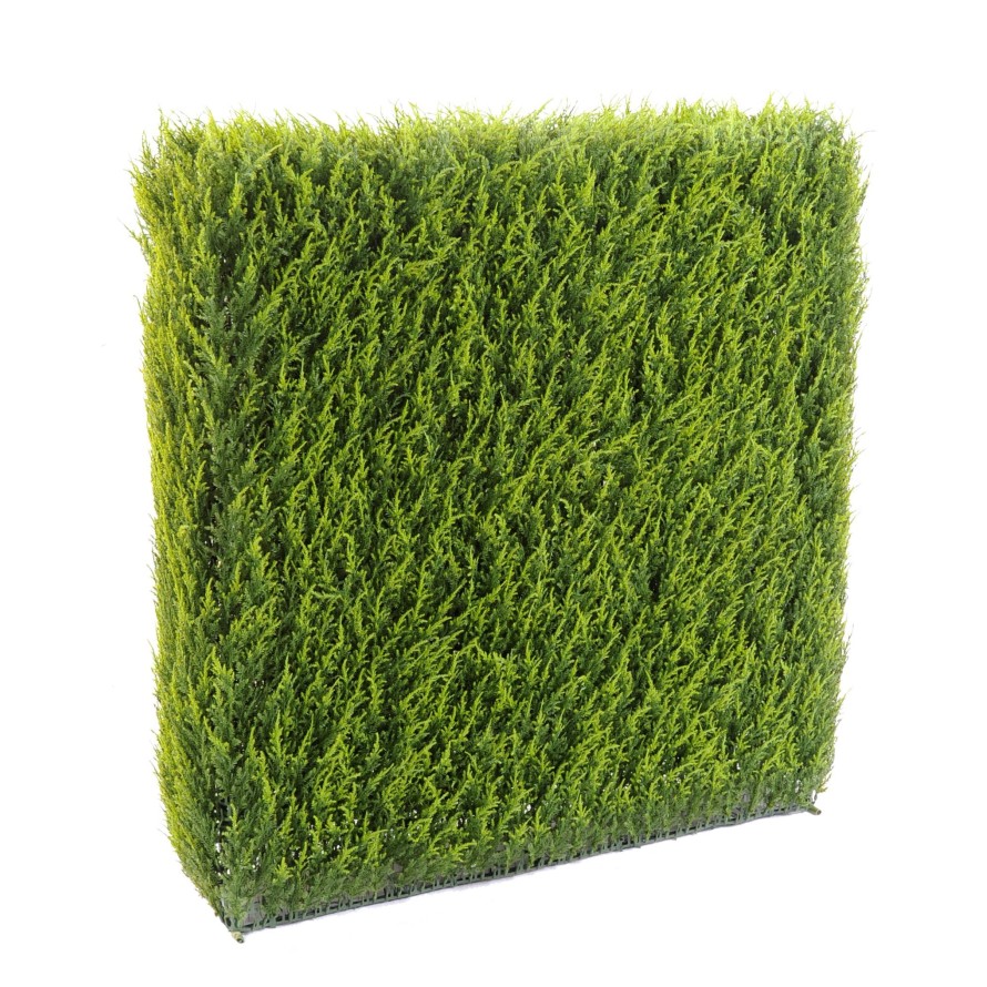 CIPRÉS JUNIPERUS SETO ESTRUCTURA METÁLICA