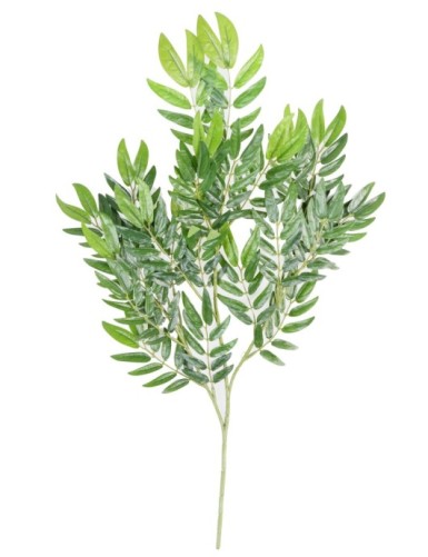 RÖNNBÄR ZWEIG, Eberesche