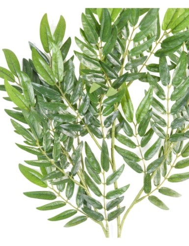 RONNBAR SPRAY, rowan