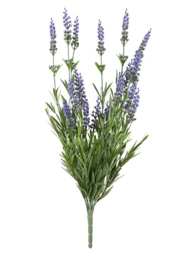LAVENDEL PLAST