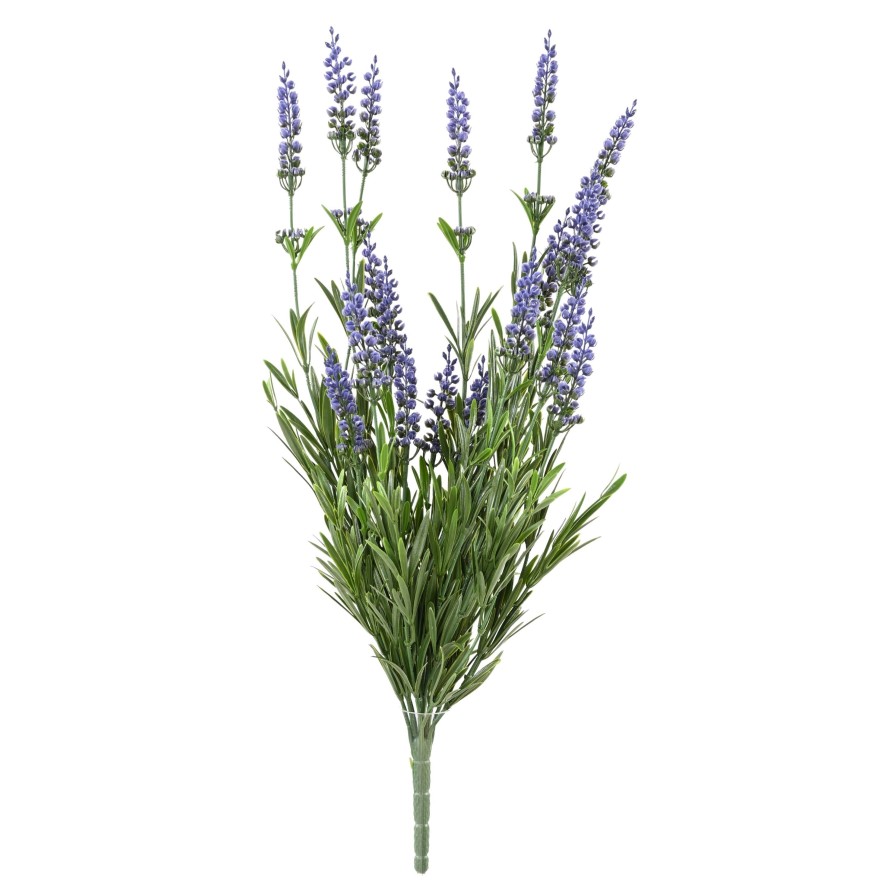 LAVANDA PLÁST.