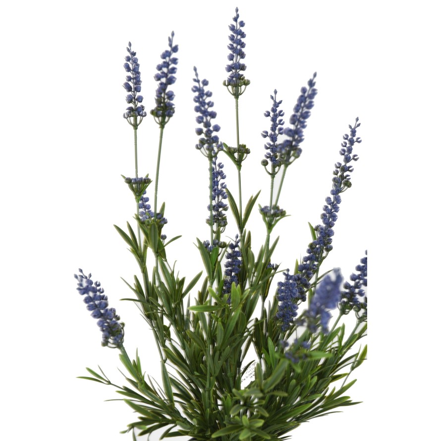 LAVENDEL PLAST