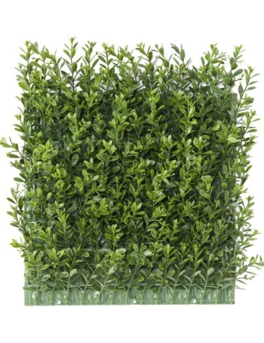 BUCHSBAUM RED DAY PLATTE...