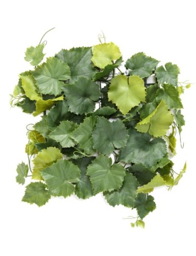 WEINREBE PLATTE PLAST *45 UV