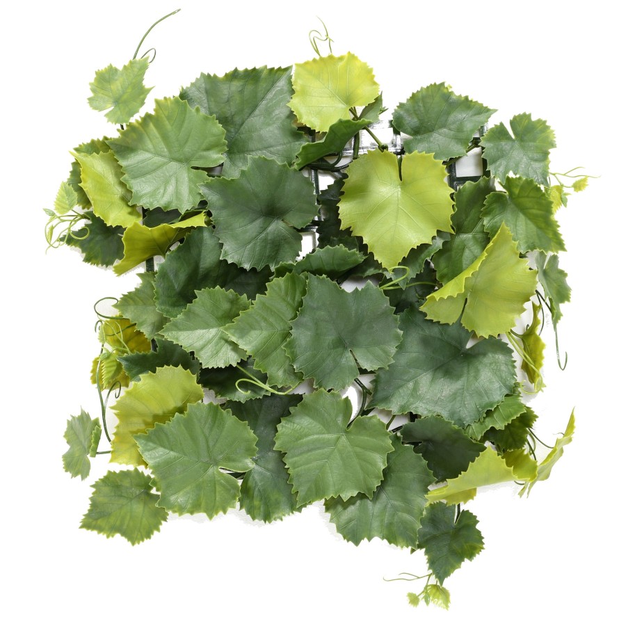 WEINREBE PLATTE PLAST *45 UV