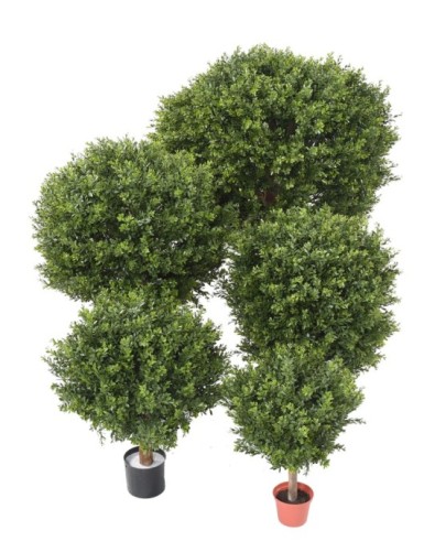 BUCHSBAUM KUGEL RED DAY UV