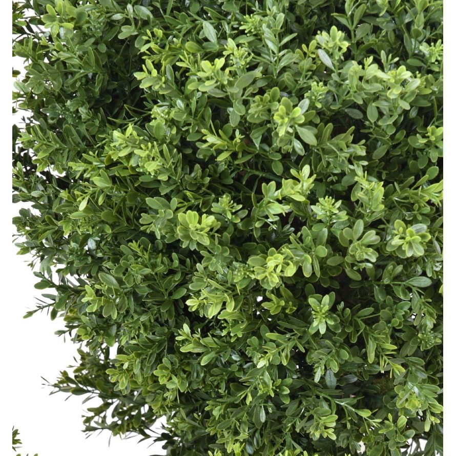 BOXWOOD BALL RED DAY UV