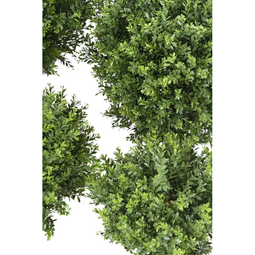 BOXWOOD BALL RED DAY UV