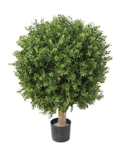 BUCHSBAUM KUGEL RED DAY UV