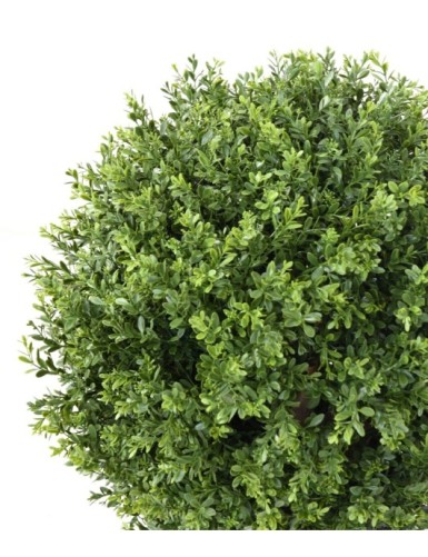 BOJ ESFERA RED DAY RESISTENTE A LOS RAYOS UV