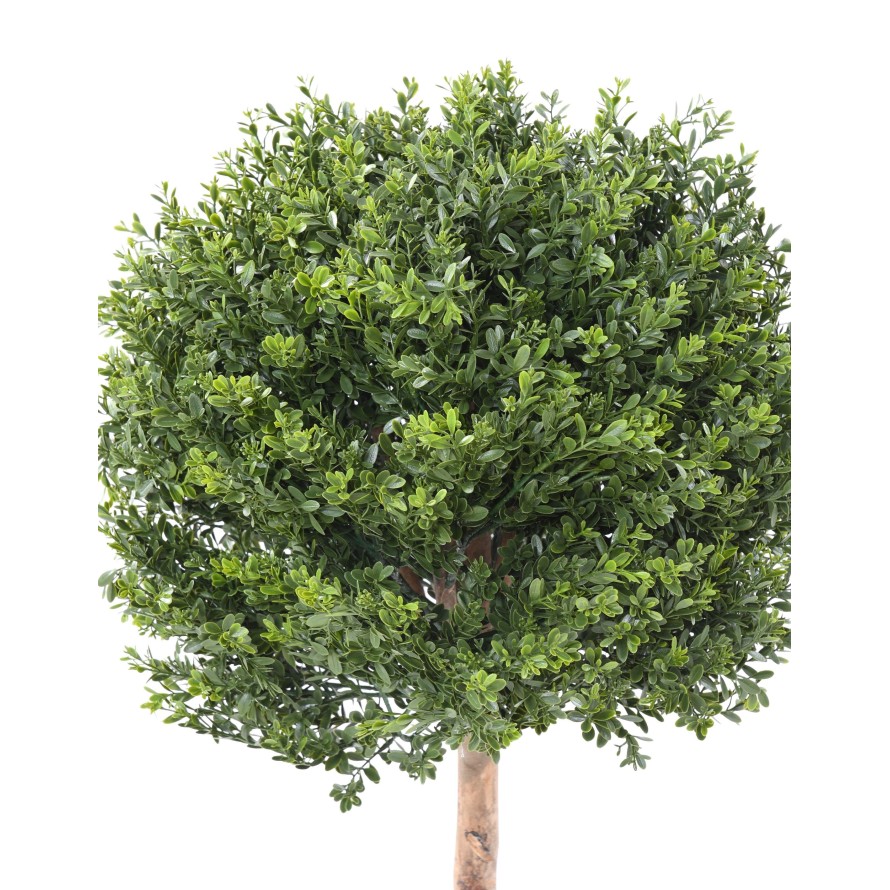 BOJ RED DAY TALLO ESFERA RESISTENTE A LOS RAYOS UV