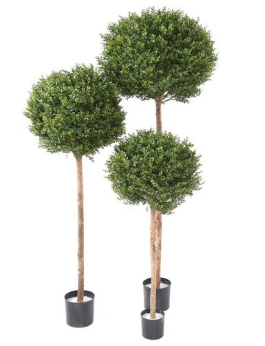 BUCHSBAUM RED DAY STAMM KUGEL UV