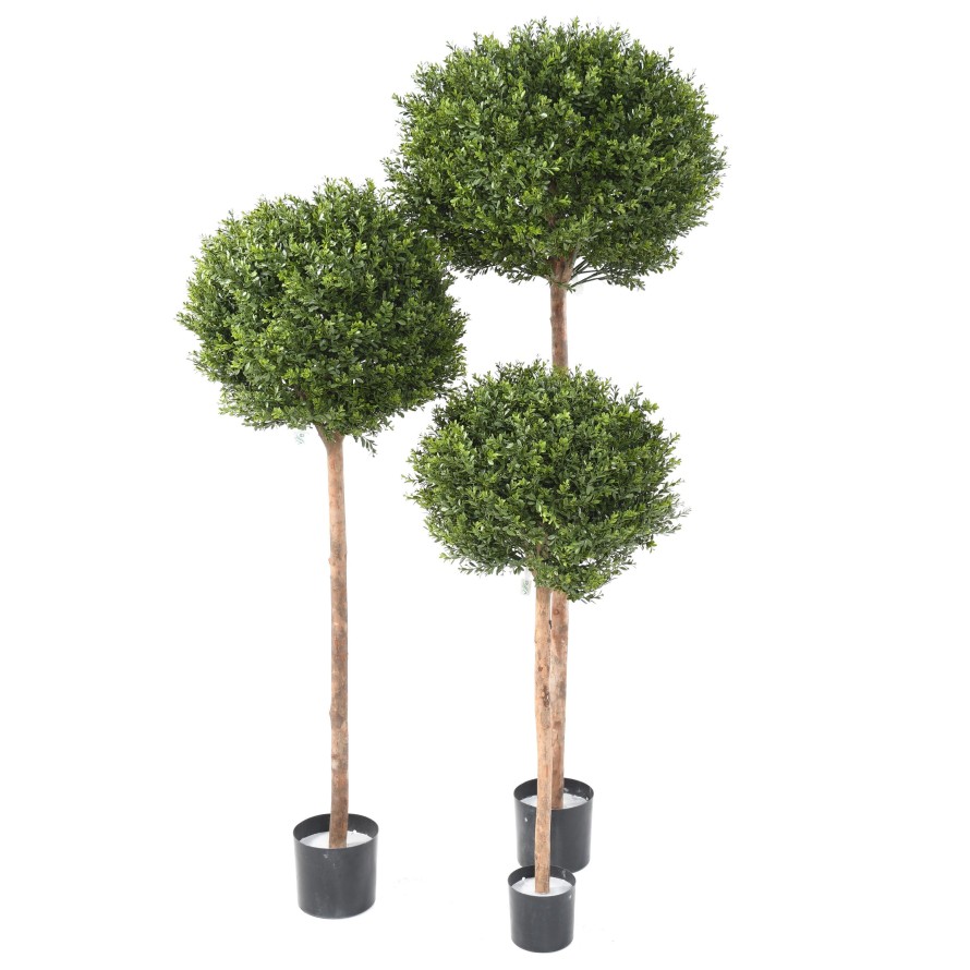 BOJ RED DAY TALLO ESFERA RESISTENTE A LOS RAYOS UV