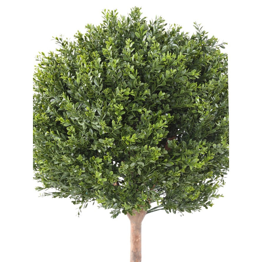 BUCHSBAUM RED DAY STAMM KUGEL UV