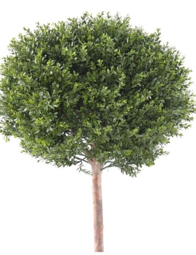 BOXWOOD RED DAY STEM BALL UV