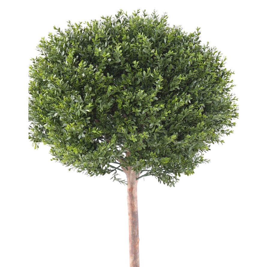 BOXWOOD RED DAY STEM BALL UV