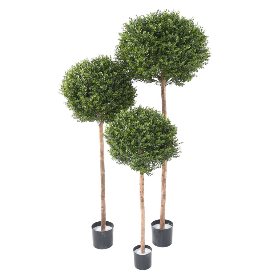 BOXWOOD RED DAY STEM BALL UV