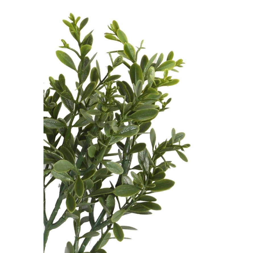 BOJ RED DAY RAMA RESISTENTE A LOS RAYOS UV