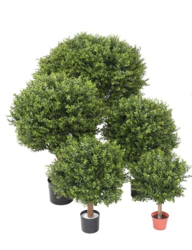 BOJ ESFERA RED DAY...