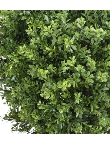 BOJ ESFERA RED DAY RESISTENTE A LOS RAYOS UV