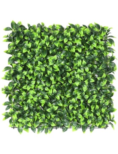 WANDPLATTE F 50 × 50