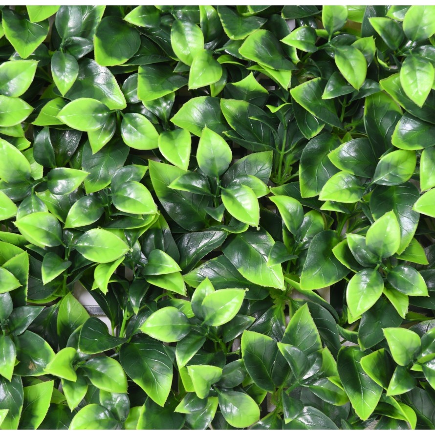 PANEL DE JARDÍN VERTICAL F 50*50