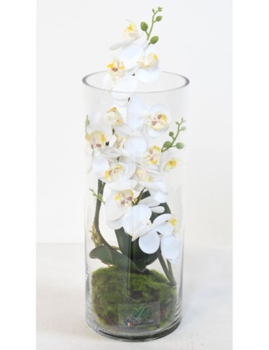 ARRANGEMENT PHALAENOPSIS WEISS