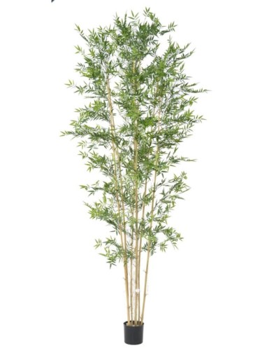 BAMBUS JAPANESE PLAST UV