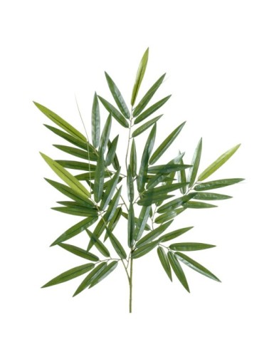 BAMBÚ NEW RAMA RESISTENTE A...