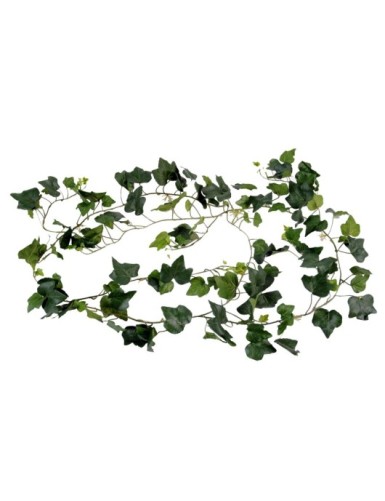 HIEDRA GALA GUIRNALDA...