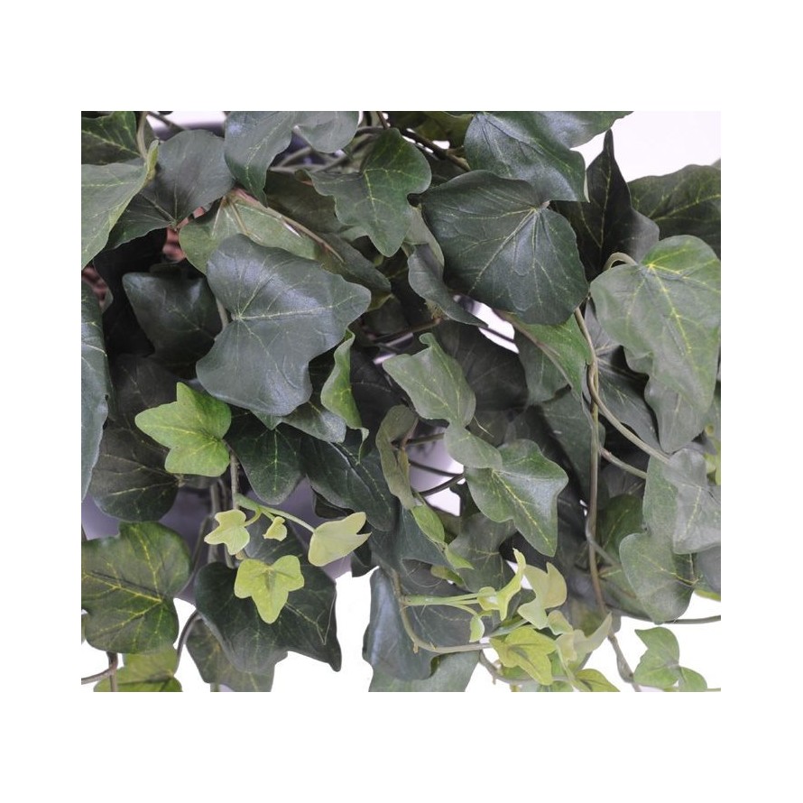 HIEDRA GALA GUIRNALDA RESISTENTE A LOS RAYOS UV