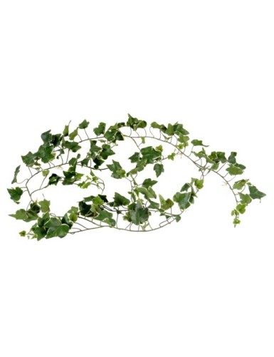 HIEDRA GALA GUIRNALDA...