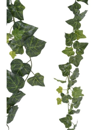 HIEDRA GUIRNALDA 180 (KIT DE 2: HG+HP)