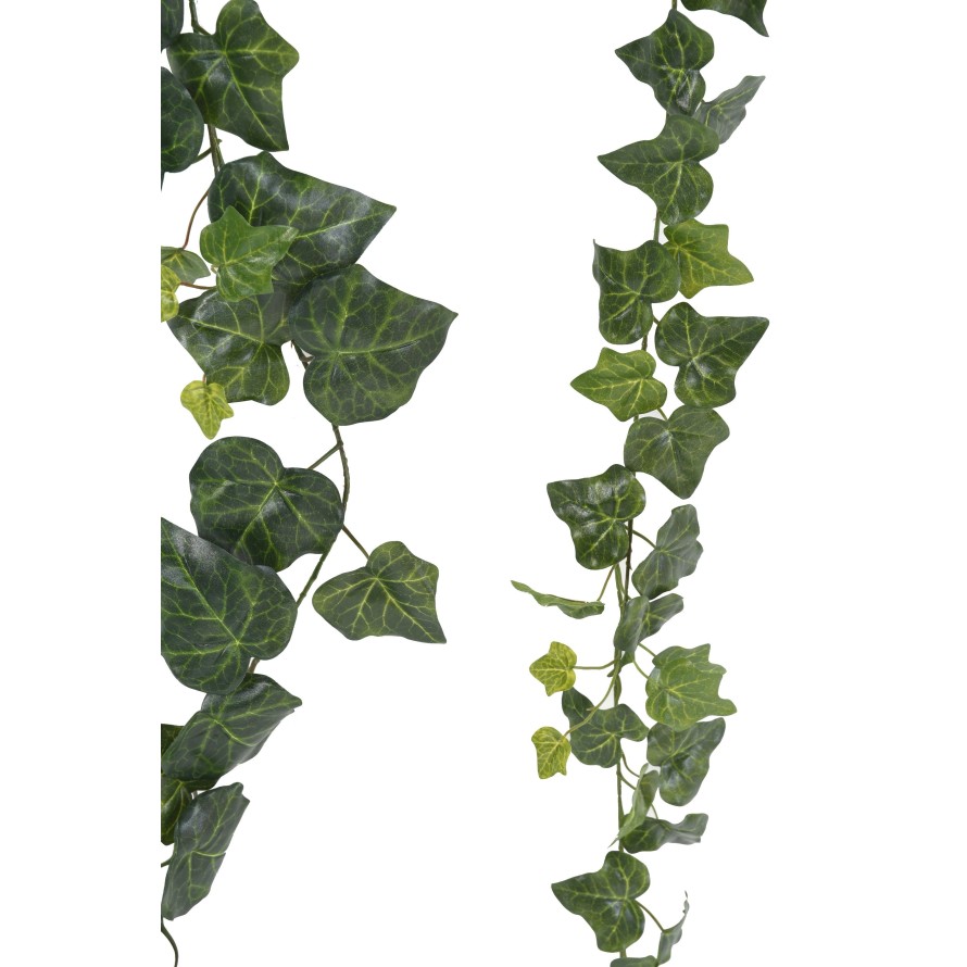 IVY GARLAND 180 (KIT OF 2: LL+SL)