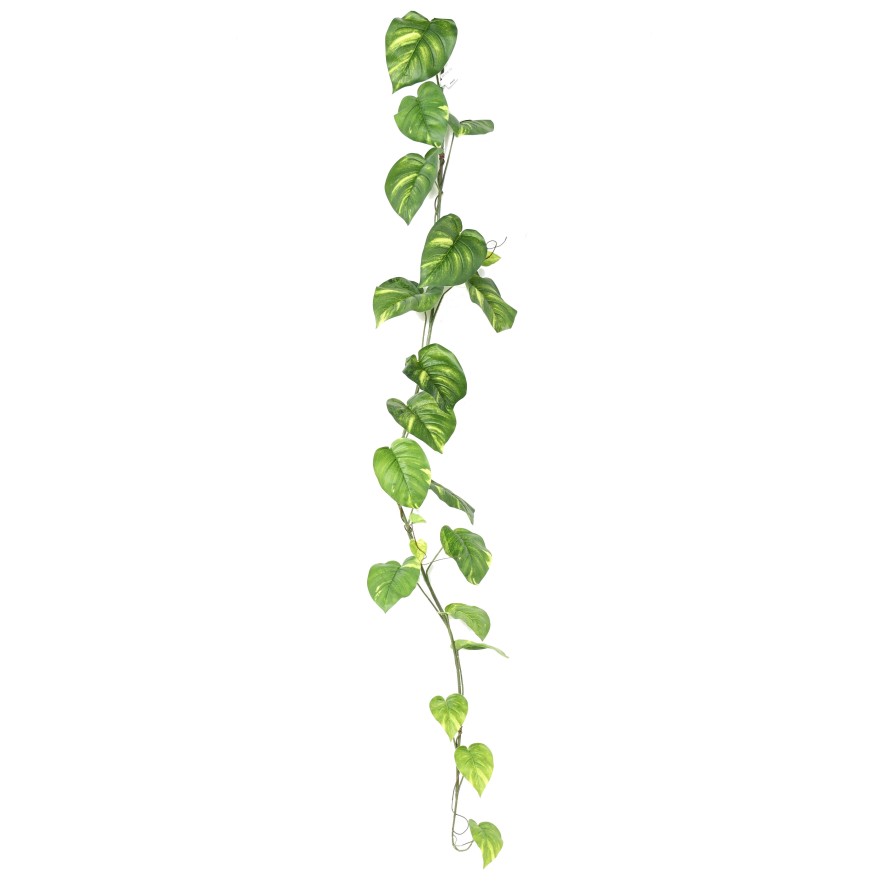 POTHOS GROSS GIRLANDE 200
