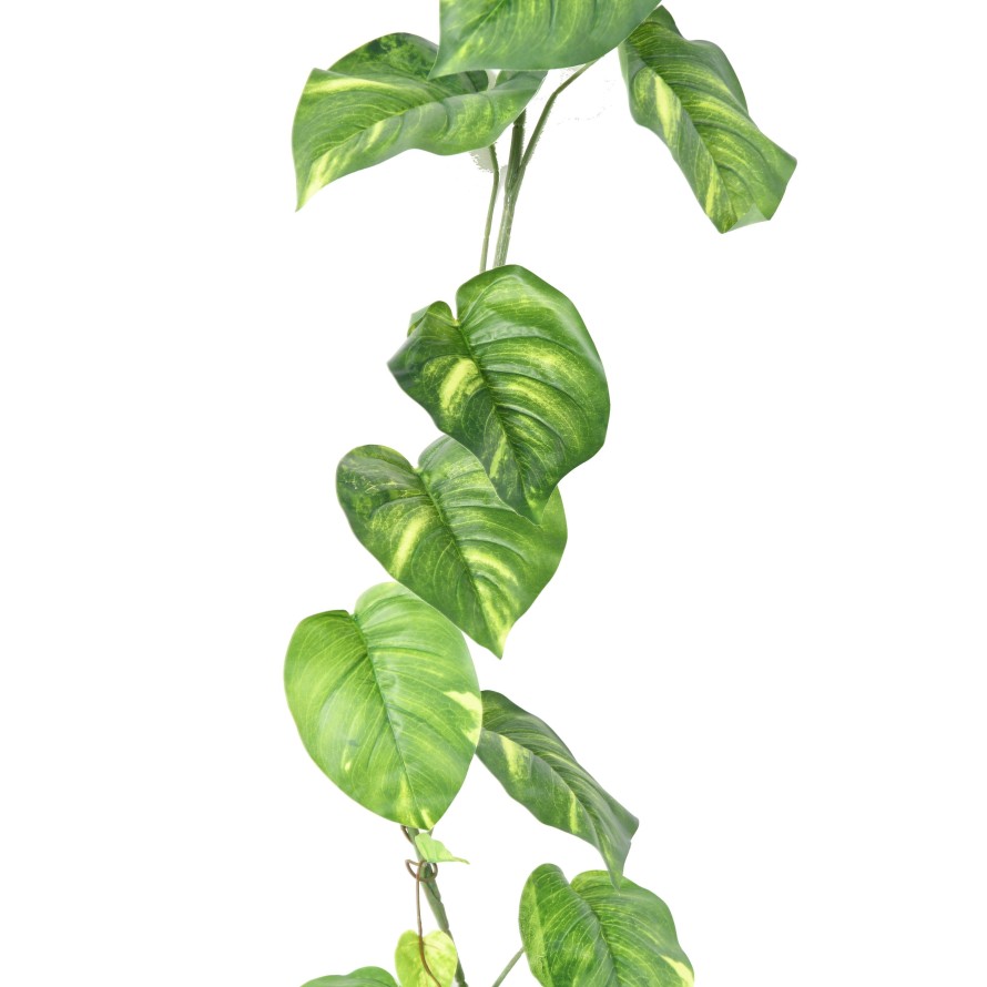 POTHOS GROSS GIRLANDE 200