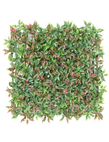 RUSCUS PANEL