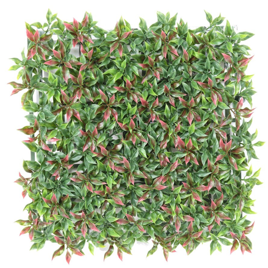 RUSCUS PANEL